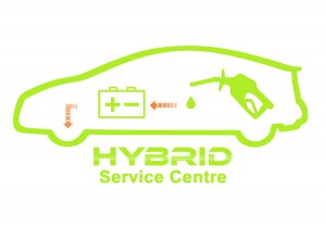 Hybrid logo website